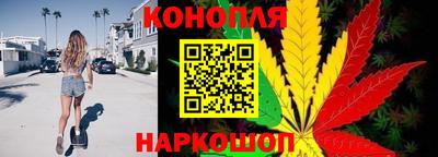 стаф Камышлов