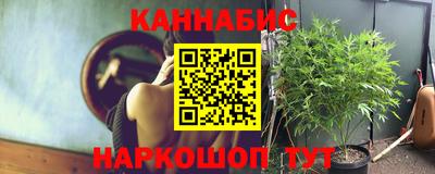 стаф Камышлов
